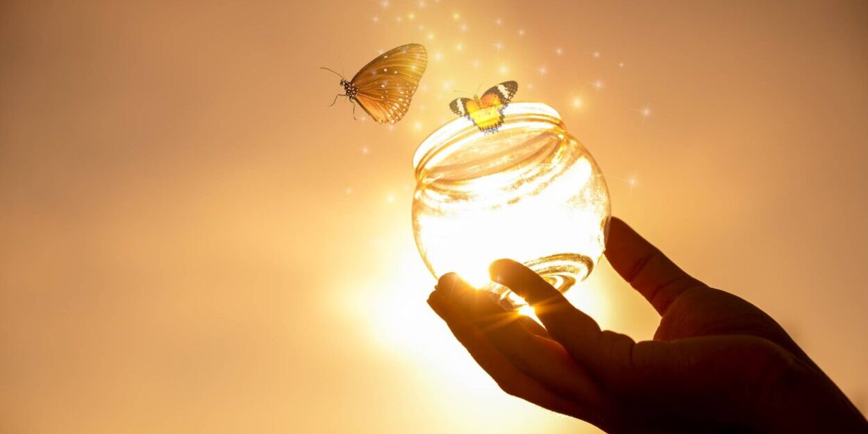 renascer trilho de luz (1)