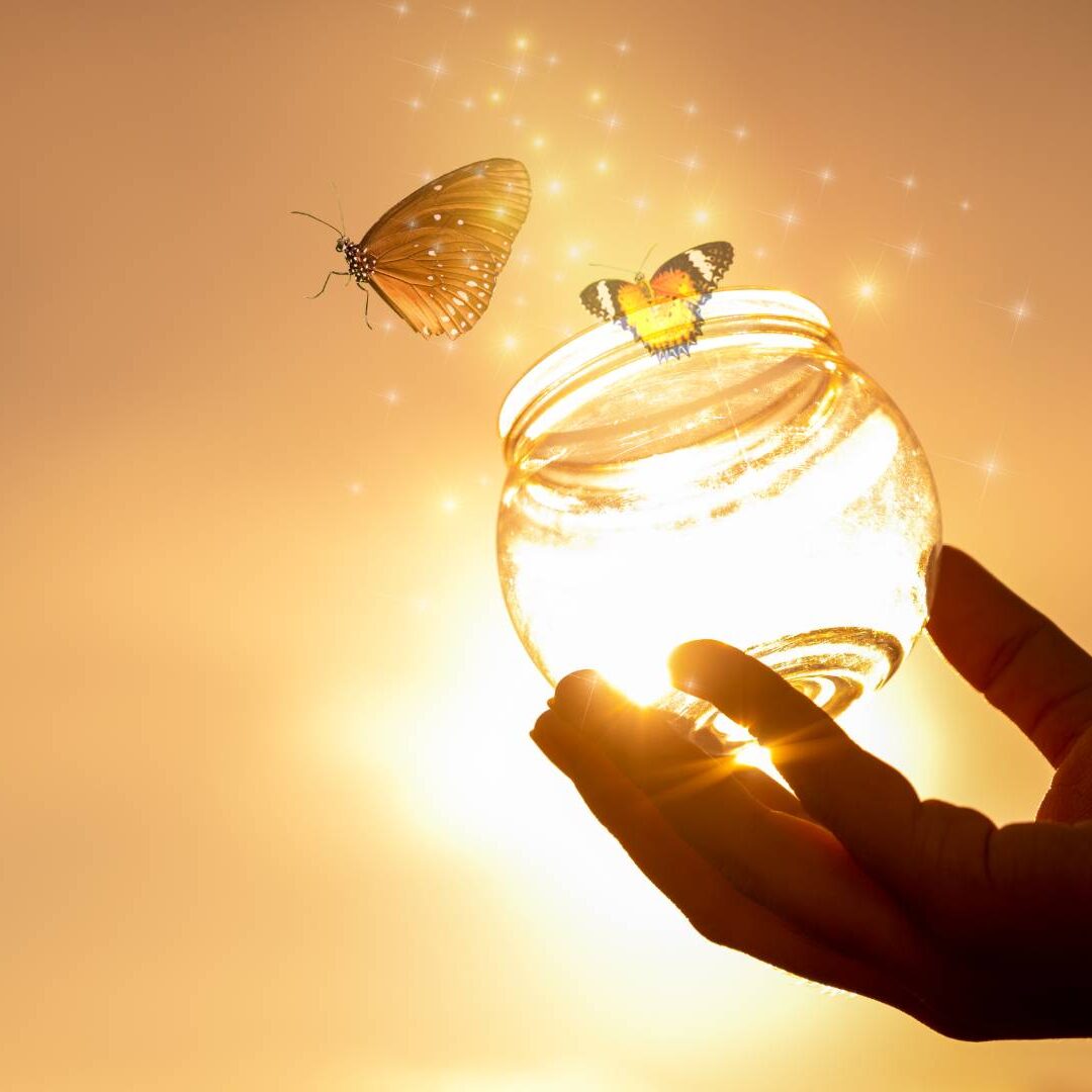 renascer trilho de luz (1)